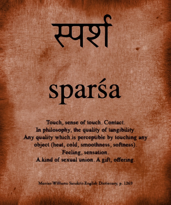 sparsa bark