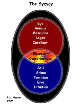 anima szygy